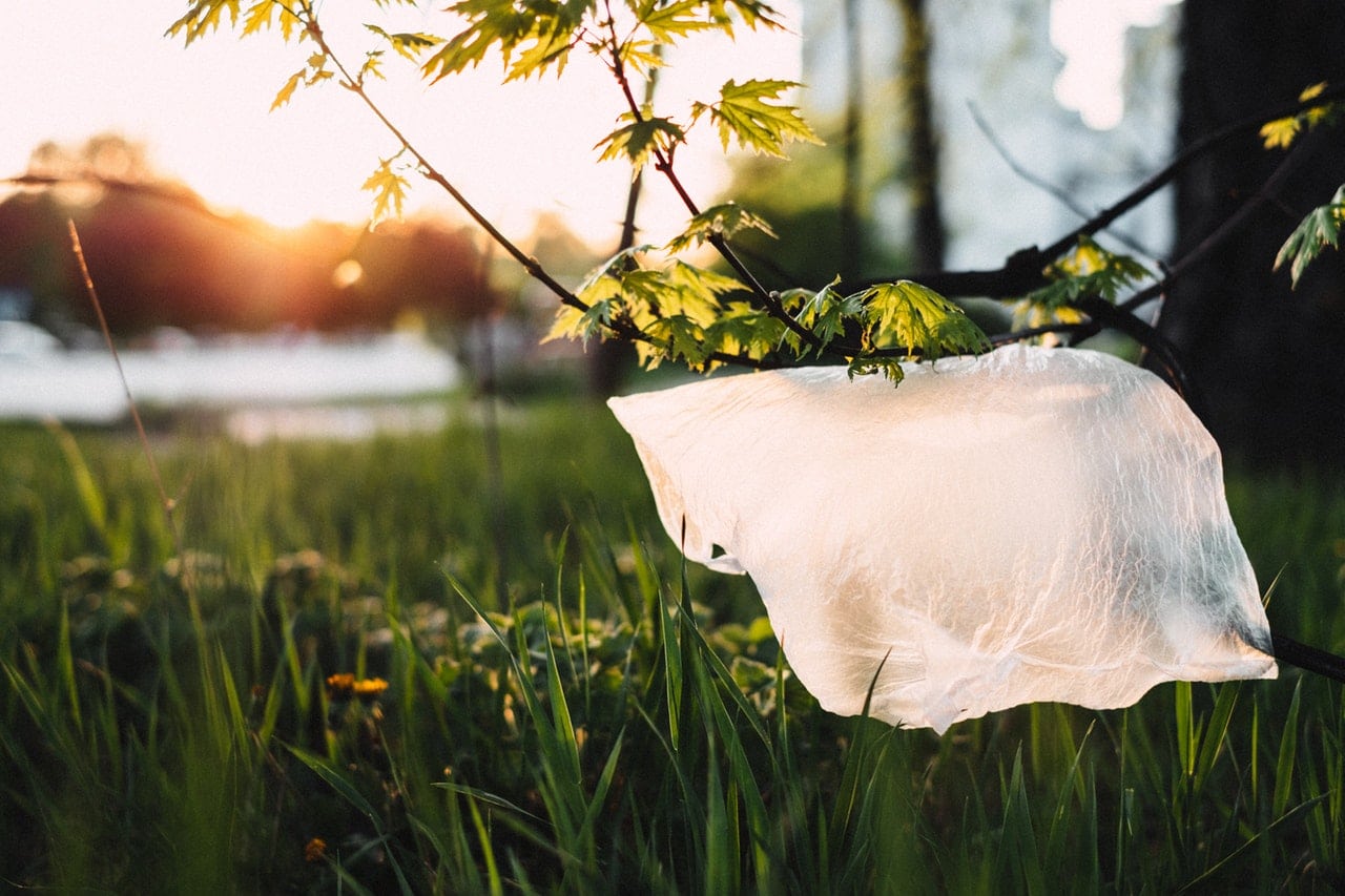 Come ridurre la plastica in viaggio